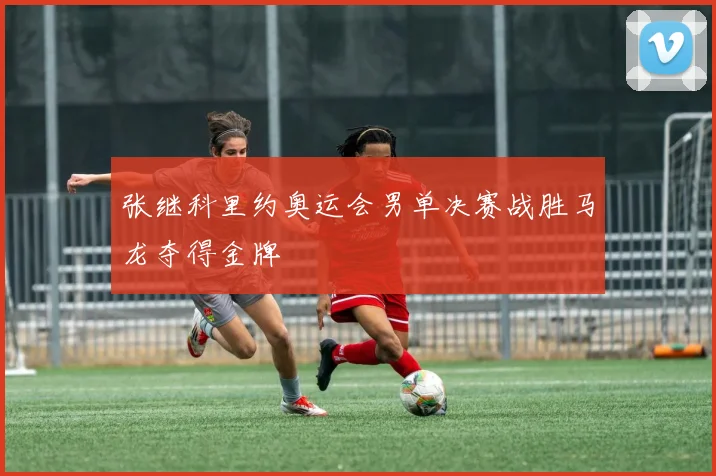 张继科里约奥运会男单决赛战胜马龙夺得金牌