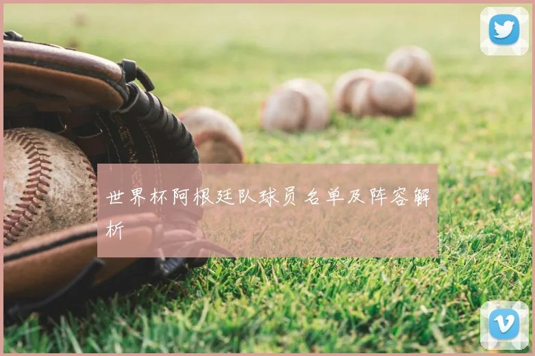 世界杯阿根廷队球员名单及阵容解析