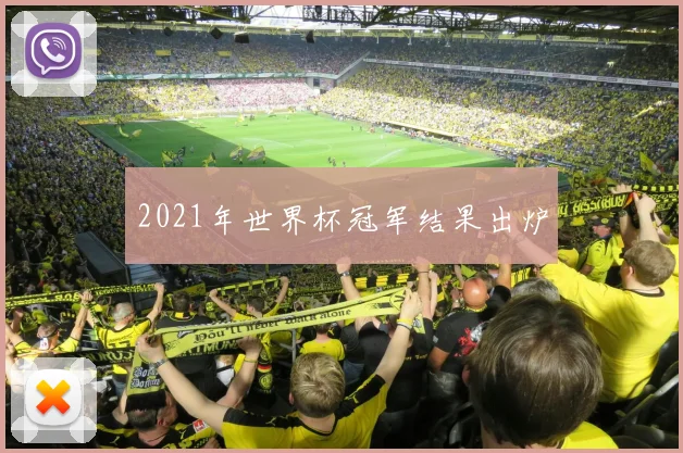 2021年世界杯冠军结果出炉