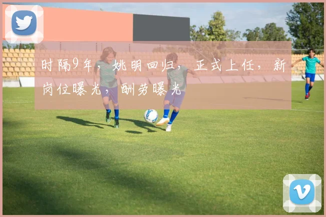 时隔9年,姚明回归,正式上任,新岗位曝光,酬劳曝光