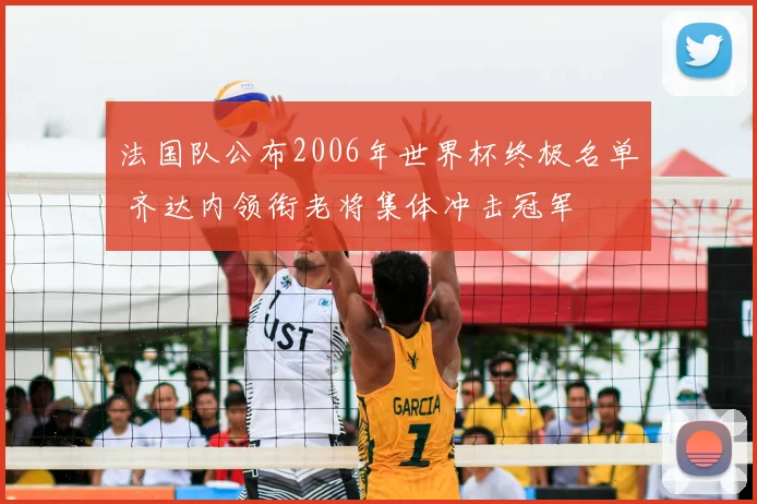 法国队公布2006年世界杯终极名单 齐达内领衔老将集体冲击冠军