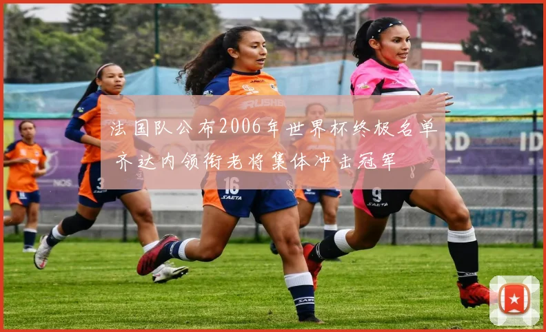 法国队公布2006年世界杯终极名单 齐达内领衔老将集体冲击冠军