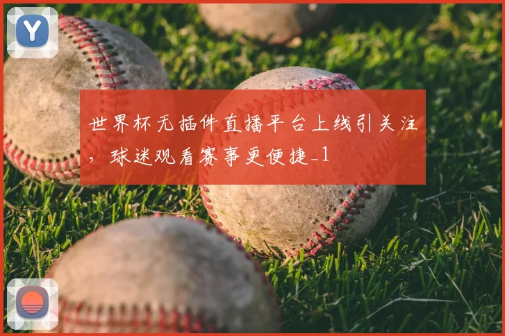 世界杯无插件直播平台上线引关注，球迷观看赛事更便捷_1