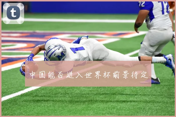 中国能否进入世界杯前景待定
