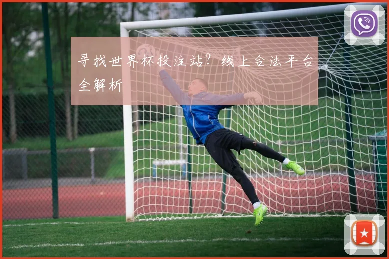 寻找世界杯投注站?线上合法平台全解析