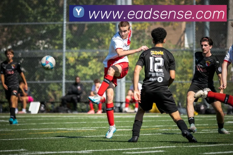 华体网体育官网APP 封面图