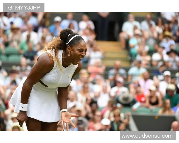 2013年温网小威与利斯基精彩对决回顾与分析