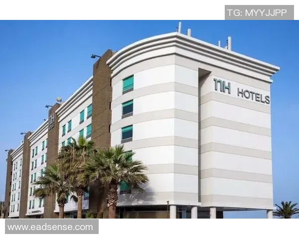 安托法加斯塔与埃弗顿的精彩对决分析与赛后点评