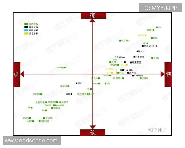 西安羽毛球队快攻战术解析与发展趋势探讨
